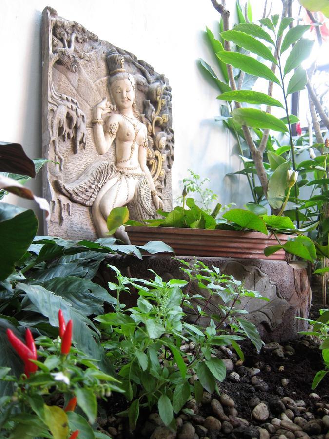 V Lodge Chiang Mai Dış mekan fotoğraf
