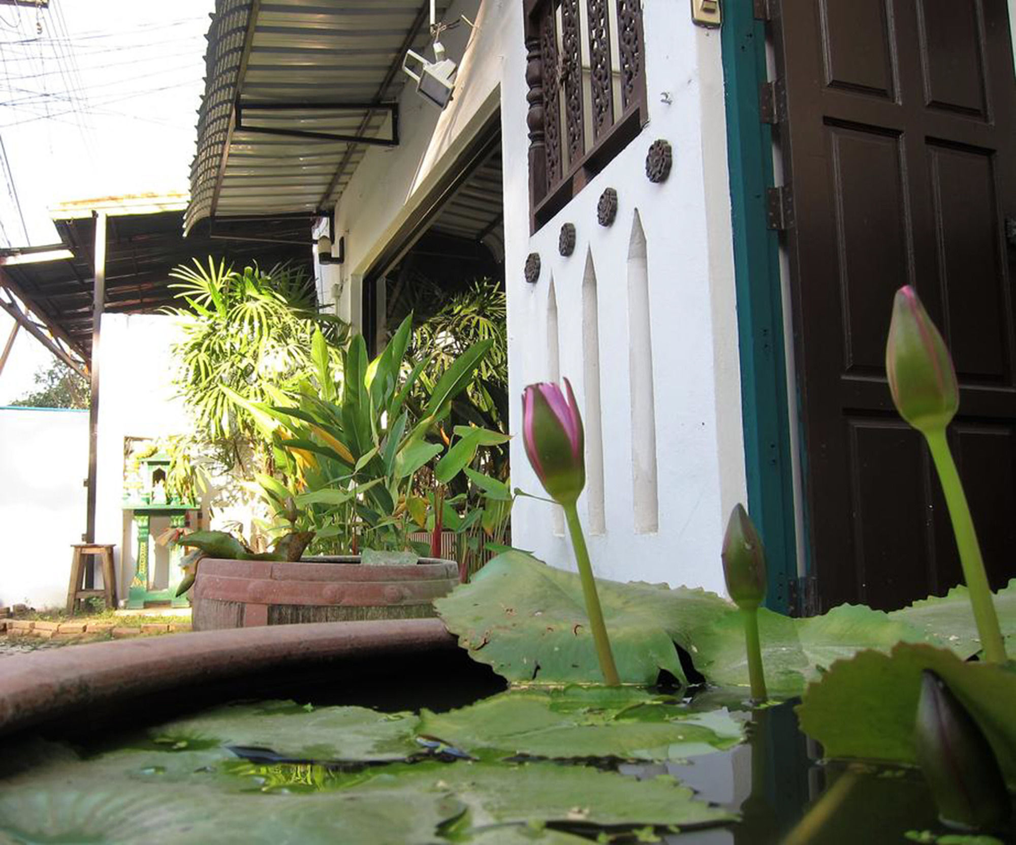 V Lodge Chiang Mai Dış mekan fotoğraf